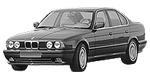 BMW E34 C15CC Fault Code